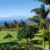 Отель Aloha Cottage, фото 2