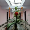 Отель Xin Nong Hostel, фото 8