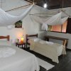 Отель SouthWild Pantanal Lodge, фото 6