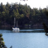 Отель Arbutus Point Oceanfront B & B, фото 1