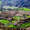 Отель Maya Regency Bhimtal, фото 7