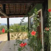 Отель Pousada A Mata que Canta, фото 1