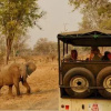 Отель Kiboko Safaris Camp, фото 11