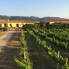 Отель Agriturismo Campesi, фото 1