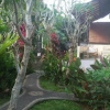 Отель Citrus Tree B&B - Darta, фото 7
