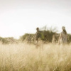 Отель Oliver's Camp, фото 4