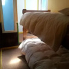 Отель Backpackers & hostal 