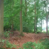 Отель De Hagmolenbeek Boekelo, фото 6