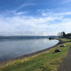 Отель Bayview Lake Taupo, фото 20