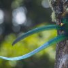 Отель Paraíso Quetzal Lodge, фото 11