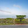 Отель Tahren Beachfront Shack Wifi - Pet-friendly, фото 1