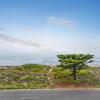 Отель Tahren Beachfront Shack, фото 5