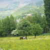 Отель Le Nid de Saint Ours, фото 9