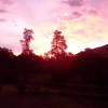 Отель Cabaña Pucon a Huife, фото 7