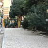 Отель Mini Suite Indipendente, фото 8