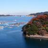 Отель Hamarikyu, фото 6