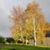 Отель Eastwood Cottage, фото 5