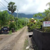 Отель Molleh Guest House, фото 2