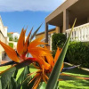 Отель ARENDA Villa Flandes Pino Alto, фото 4