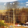 Отель Cataline Motel & RV Park, фото 4