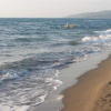 Отель Spille Beach House, фото 8