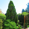 Отель Côté Jardin by Nestor&Jeeves, фото 11