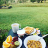 Meal