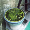 Отель Xitang Yangliu'an - Space Inn, фото 6