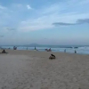 Отель Praia dos Ingleses Casa 1 - 130, фото 15