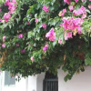 Отель Casa del Maestro, фото 2
