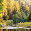 Отель Yosemite Lakes River Yurt 22, фото 5