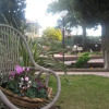 Отель Athena Garden, фото 8