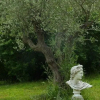 Отель Villa Elysae, фото 8