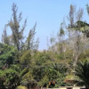 Отель Recanto das Garças, фото 5