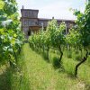 Отель Schuchmann Wines Chateau, фото 10