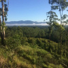Отель Bellingen Bed and Breakfast, фото 12