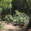 Отель Campestre La Tata, фото 6