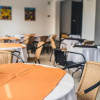Отель Hostal Ipanema, фото 11