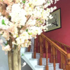 Отель Wu Yuan Liang Chen Farm Stay, фото 3