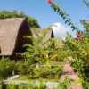 Отель Turtle Bungalow, фото 12