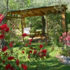 Отель B&B Gli Olivi, фото 3