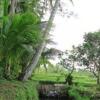 Отель Harwati Homestay, фото 9