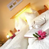 Отель Ferienwohnung Zillertal, фото 2