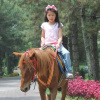 Отель Maple House Lembang, фото 10