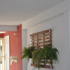 Отель Hostel dos Reis, фото 1