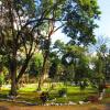Отель El Bosque Hotel, фото 6