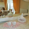 Отель Zenofon Residence Trabzon, фото 4
