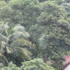 Отель Three Three Five Guest House, фото 6