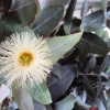 Отель Hacienda El Aserrio, фото 7