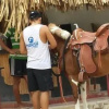 Отель Playaca Beach, фото 11